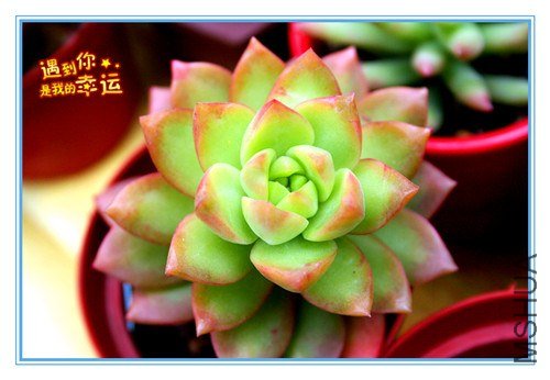 ��Ƭ 026_����.jpg