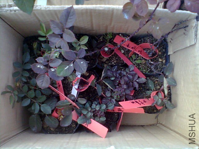 ��Ƭ0106.jpg