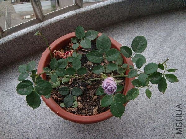 nEO_IMG_DSC05179.jpg