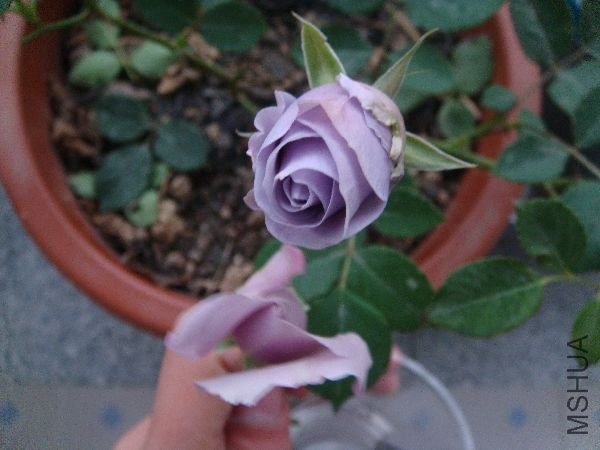 nEO_IMG_DSC05180.jpg