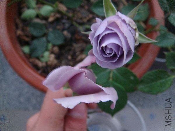 nEO_IMG_DSC05181.jpg