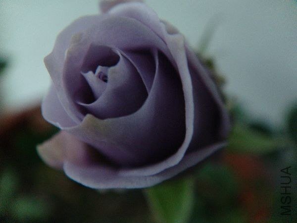 nEO_IMG_DSC05186.jpg