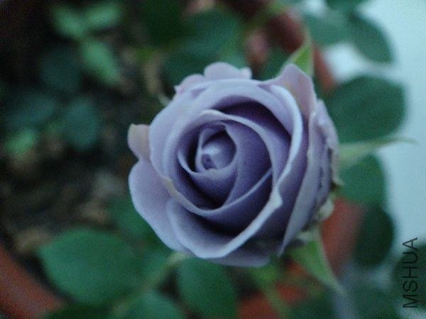 nEO_IMG_DSC05189.jpg