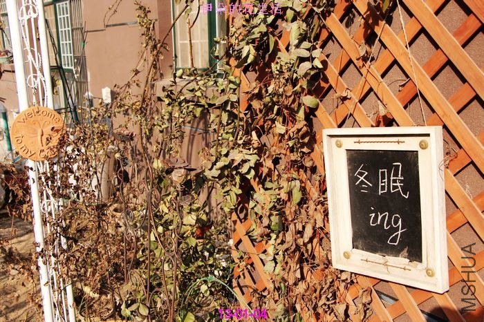 nEO_IMG_��Ƭ 001.jpg