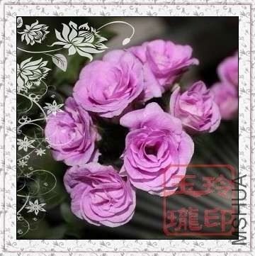 ����õ��