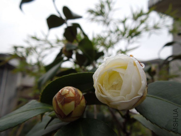 DSCN1643.JPG