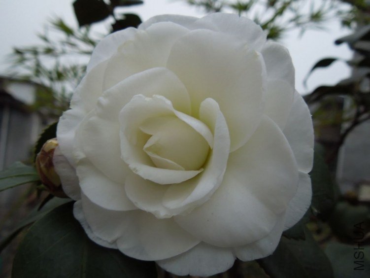 DSCN1647.JPG