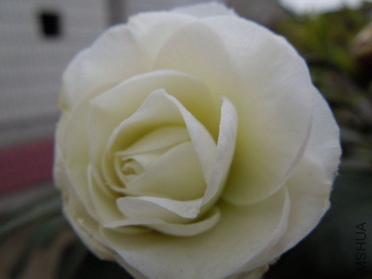 DSCN1675.JPG