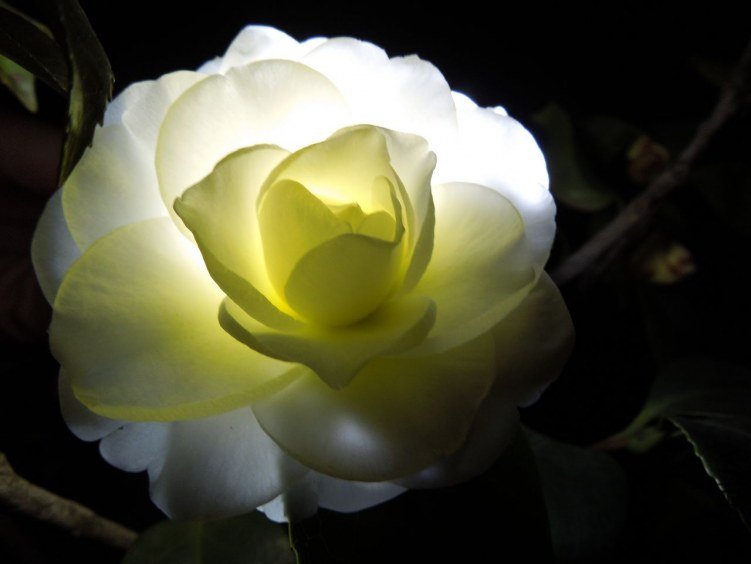 DSCN1682.JPG