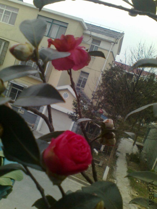20130103092.jpg
