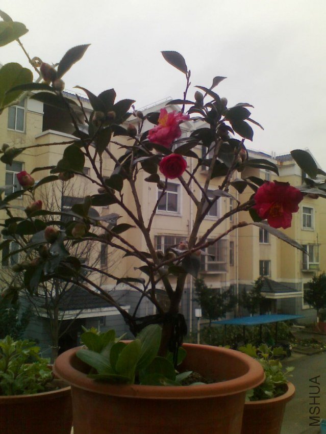 20121226083.jpg