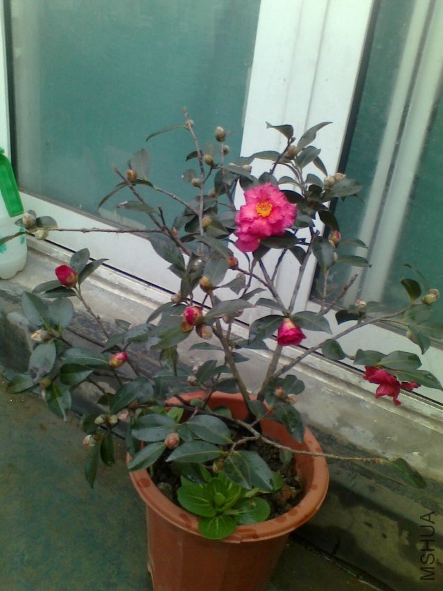 20121226087.jpg
