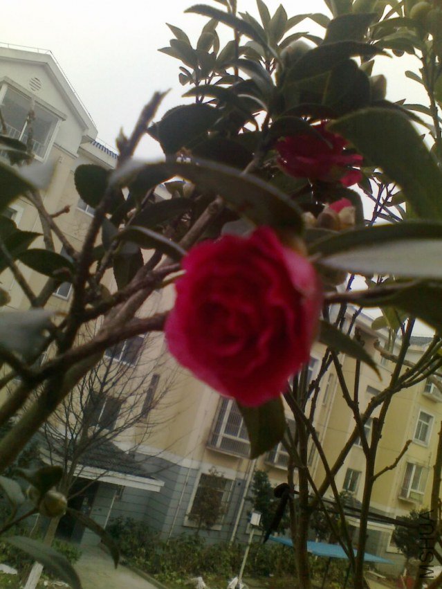 20130103089.jpg