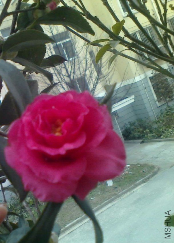 20130103090.jpg