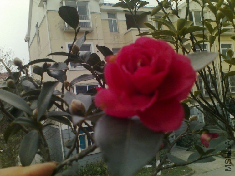 20130103091.jpg