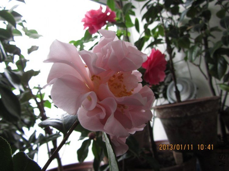 IMG_0183.JPG