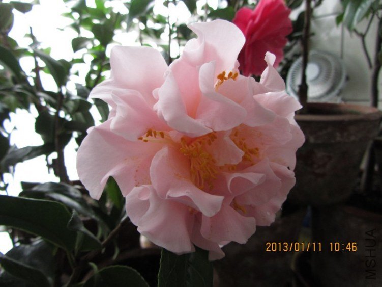 IMG_0185.JPG