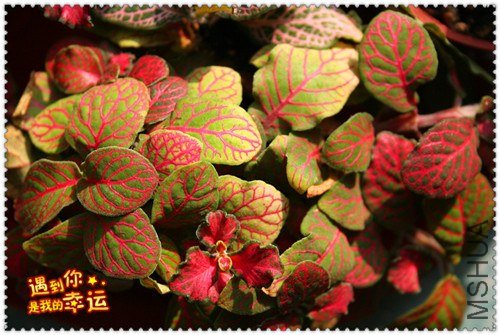 ��Ƭ 053_����.jpg