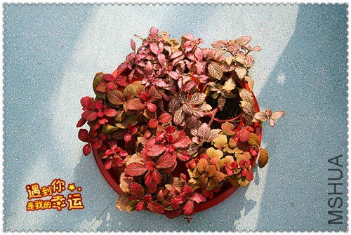 ��Ƭ 043_����.jpg