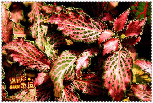 ��Ƭ 068_��ת_����.jpg