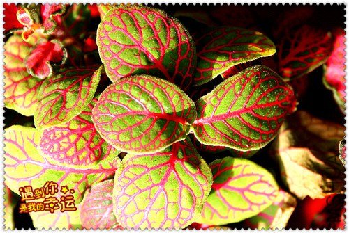 ��Ƭ 056_��ת_����.jpg