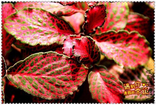 ��Ƭ 057_����.jpg