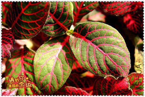 ��Ƭ 063_����.jpg