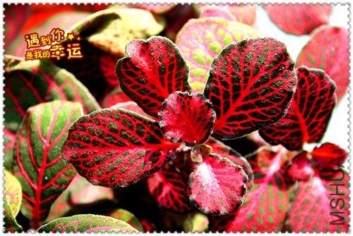 ��Ƭ 065_����.jpg