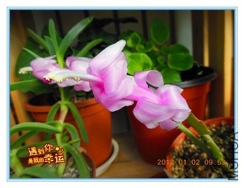 ��Ƭ 032_����.jpg