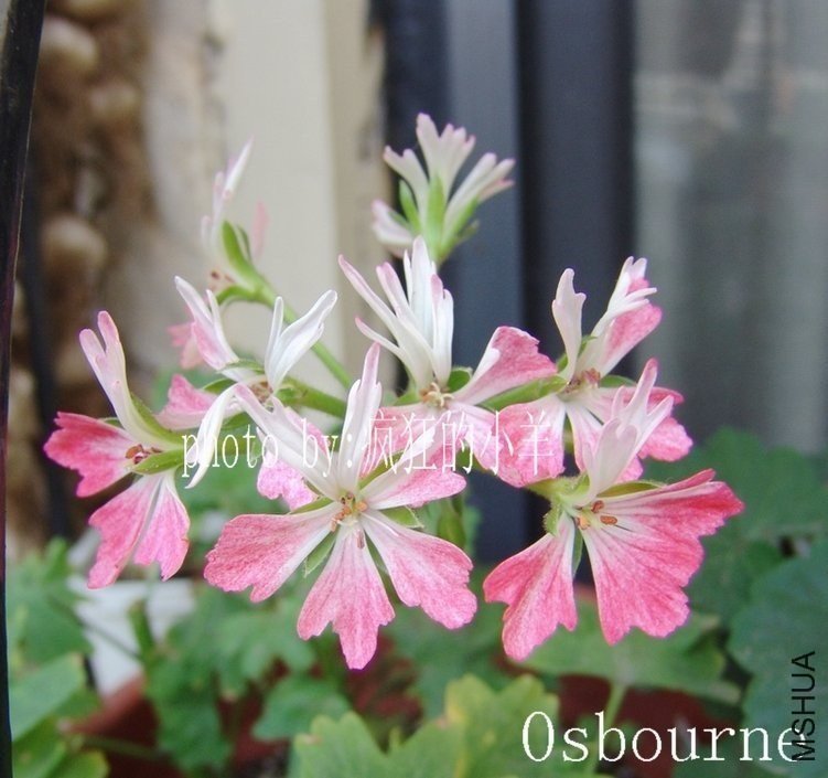 ���н���Ʒ��