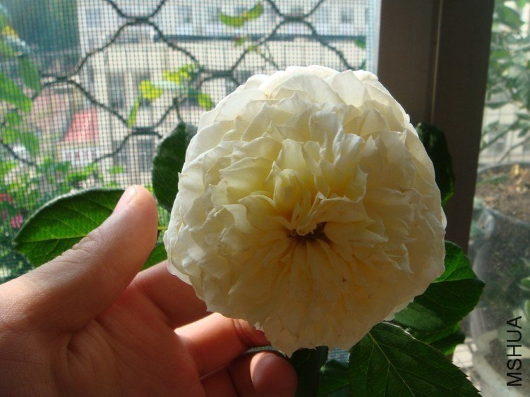 DSC01256.JPG