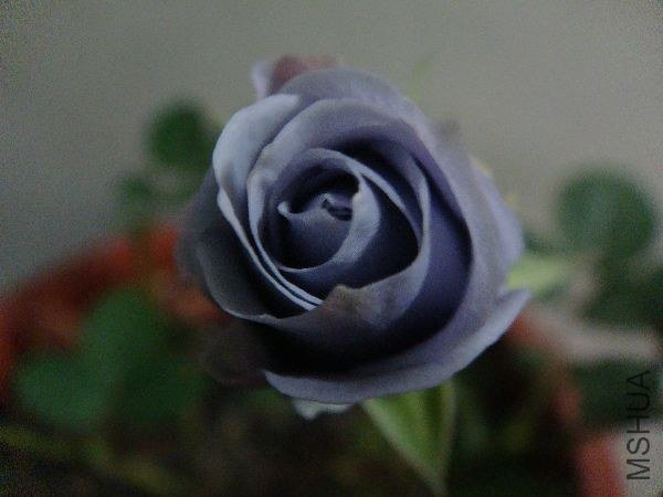 nEO_IMG_DSC05195.jpg