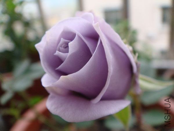 nEO_IMG_DSC05202.jpg