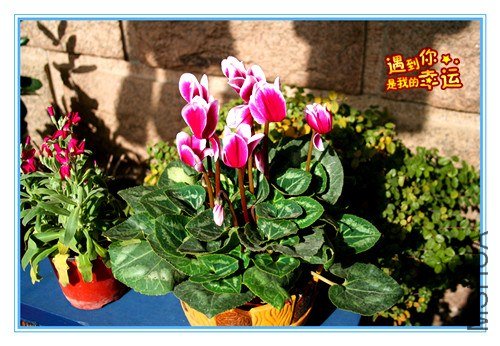 ��Ƭ 044_����.jpg