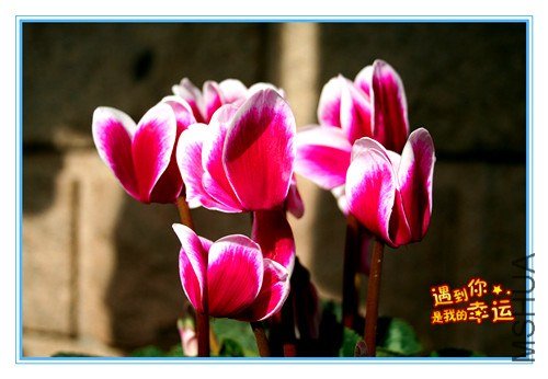 ��Ƭ 046_����14.jpg