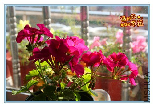 ��Ƭ 039_����.jpg