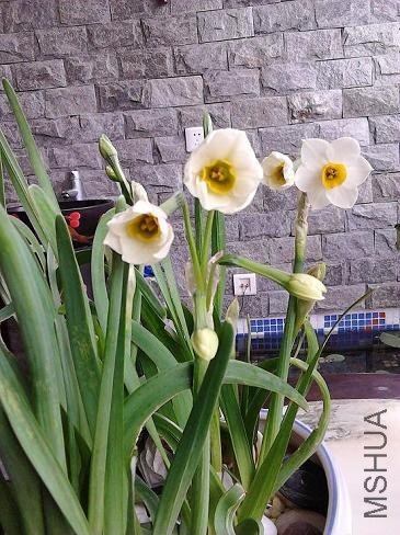 IMG_20130112_101711.jpg