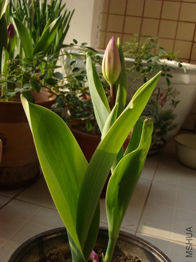 DSC05990.JPG