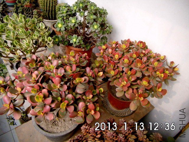 DSCI0055.jpg