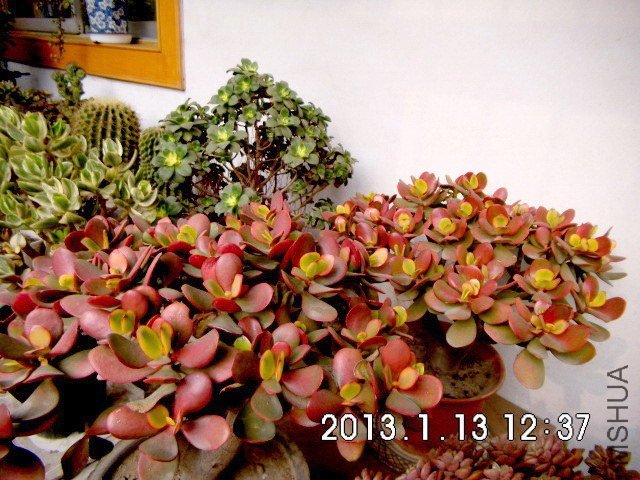 DSCI0058.jpg