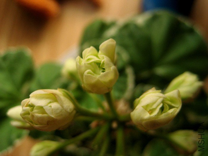 ��Ƭ 075_����.jpg