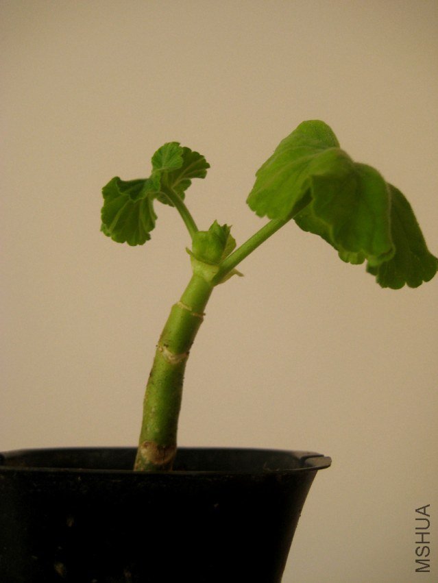 ��Ƭ 045_����.jpg