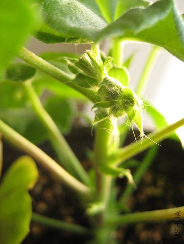 ��Ƭ 037_����.jpg