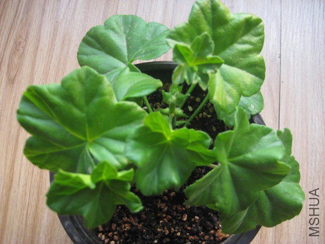 ��Ƭ 063_����.jpg