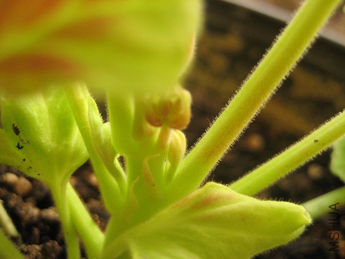 ��Ƭ 056_����.jpg