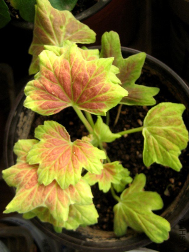 ��Ƭ 035_����.jpg