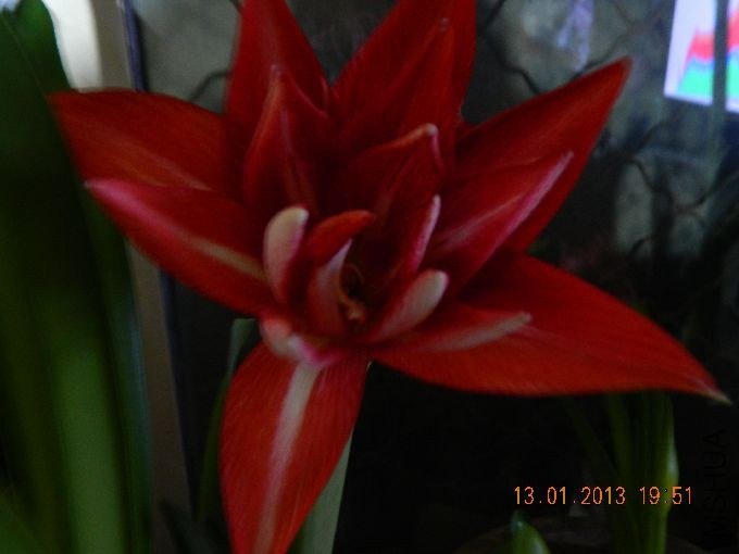 s680_��Ƭ 128.jpg