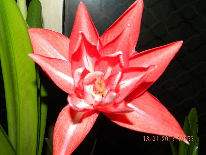 s680_��Ƭ 133.jpg
