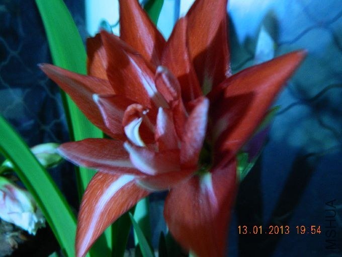 s680_��Ƭ 135.jpg