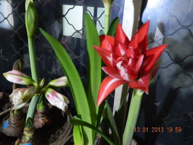 s680_��Ƭ 149.jpg